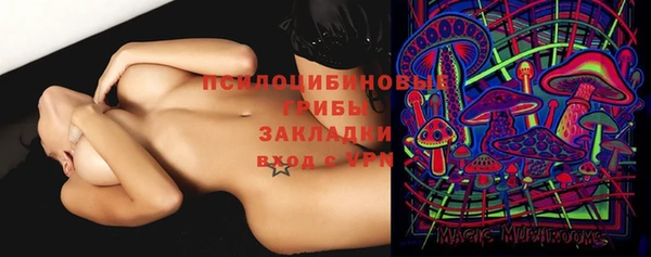 герыч Алексин