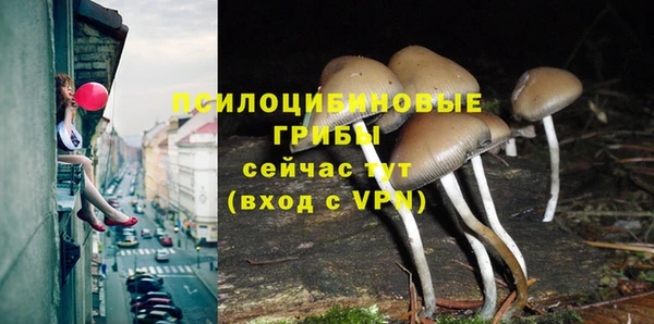 бутират Алексеевка