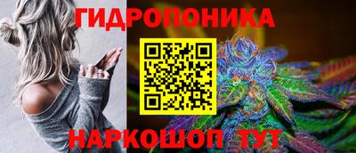 молекула духа Рыбинск