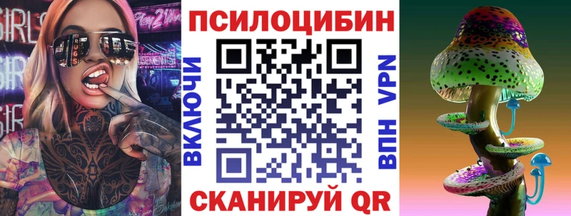 KRAKEN как зайти  Тавда  Псилоцибиновые грибы Psilocybine cubensis 